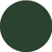 Affordable Dark Green Prom Dresses UK